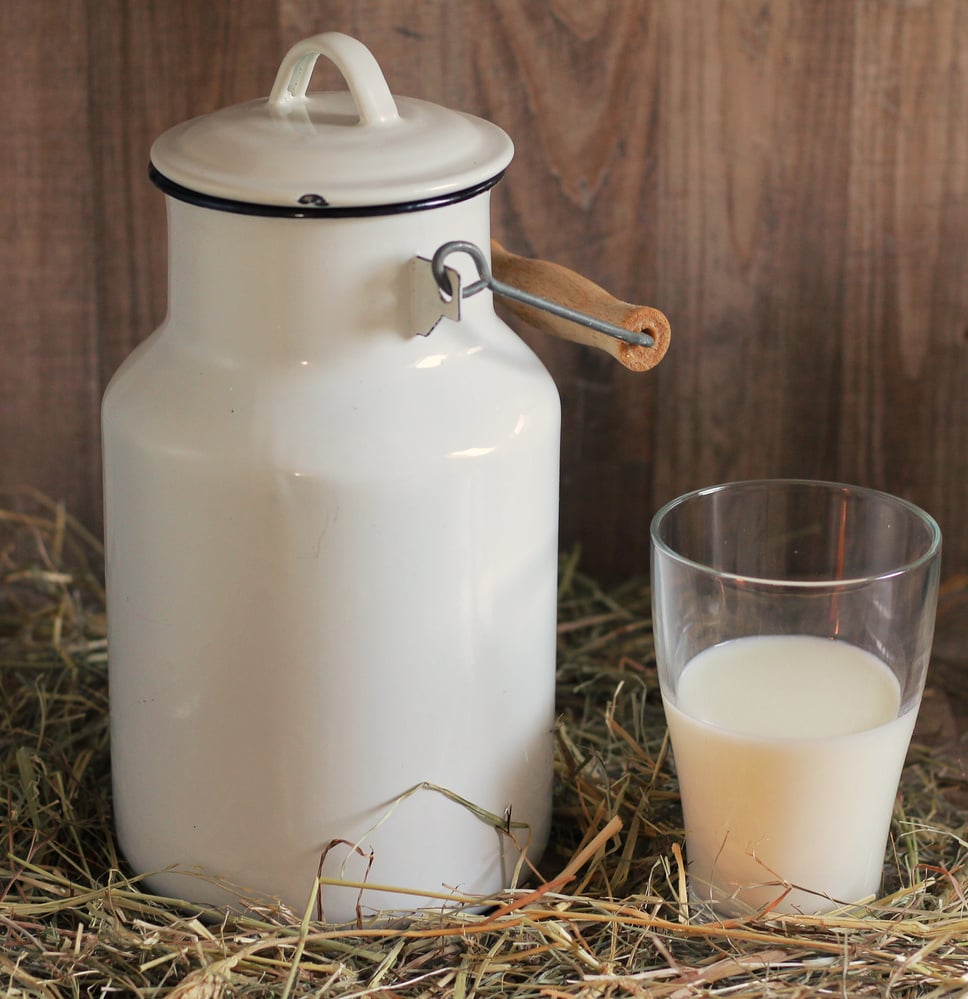 Milk Can and Milk Glass on Straw